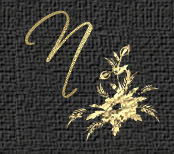 Kopfgrafik Buchstabe N