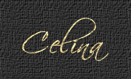 Schriftzug Celina